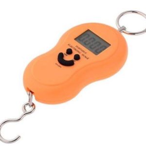 Portable Electronic Scale